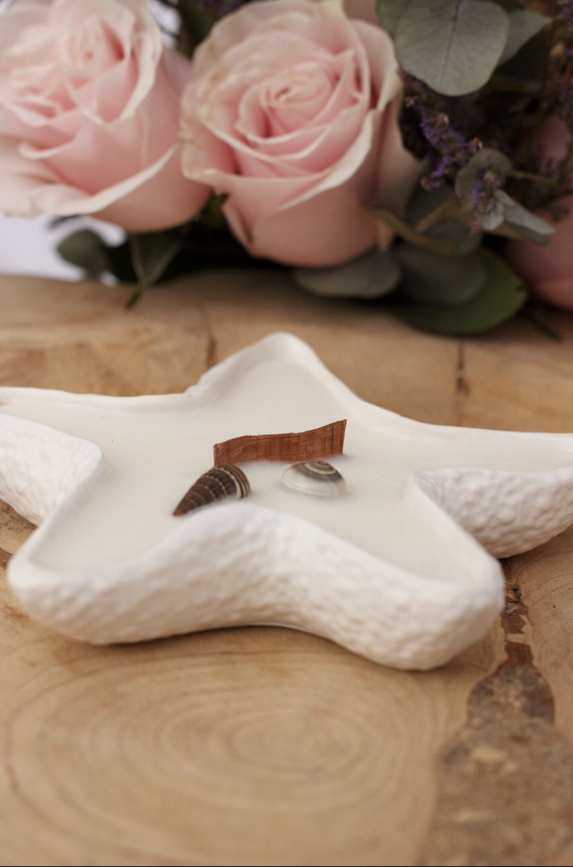 Vela ESTRELLA DE MAR - 2