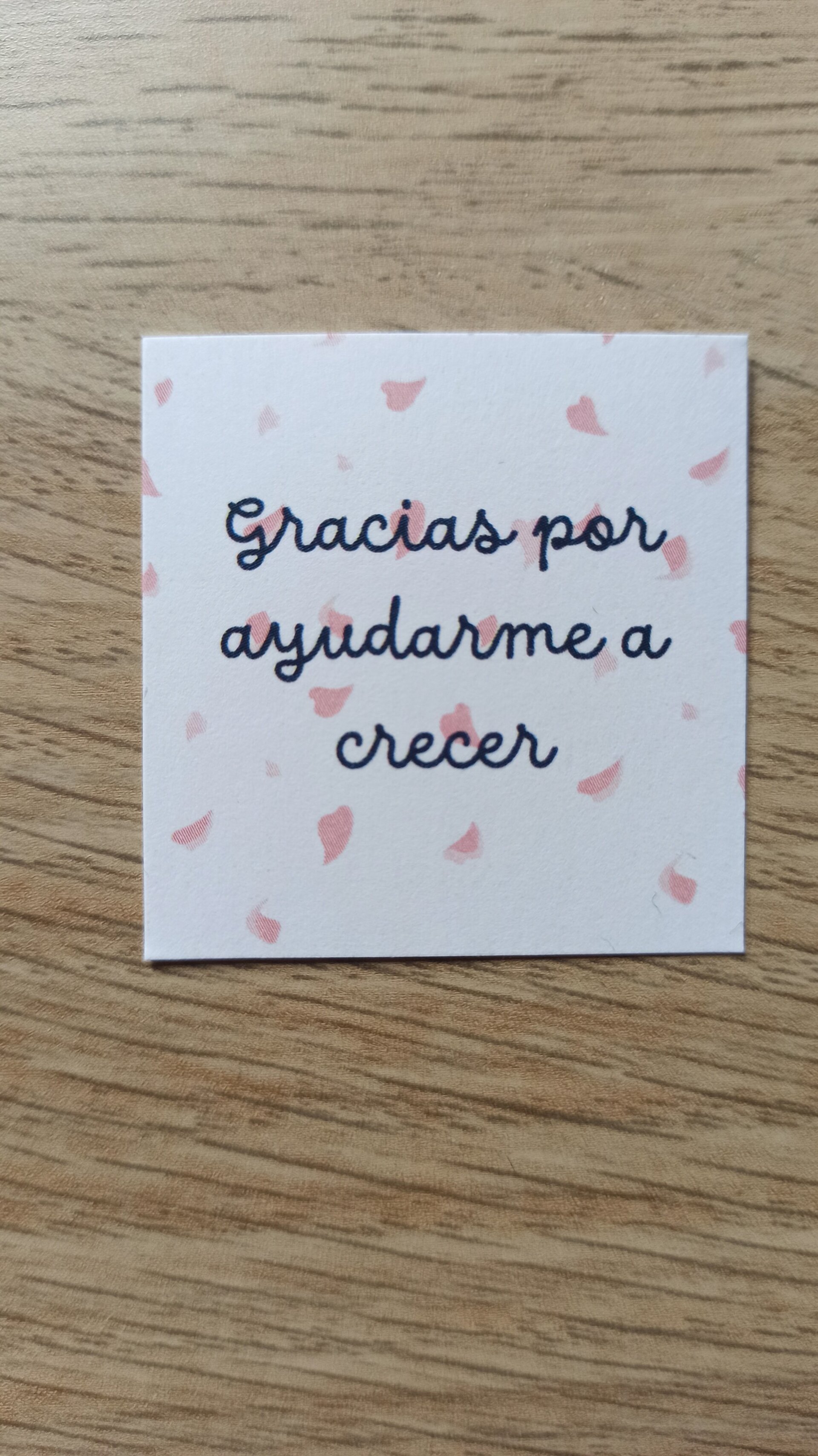 VELA DE CACTUS CON MENSAJE PARA PROFES - 3