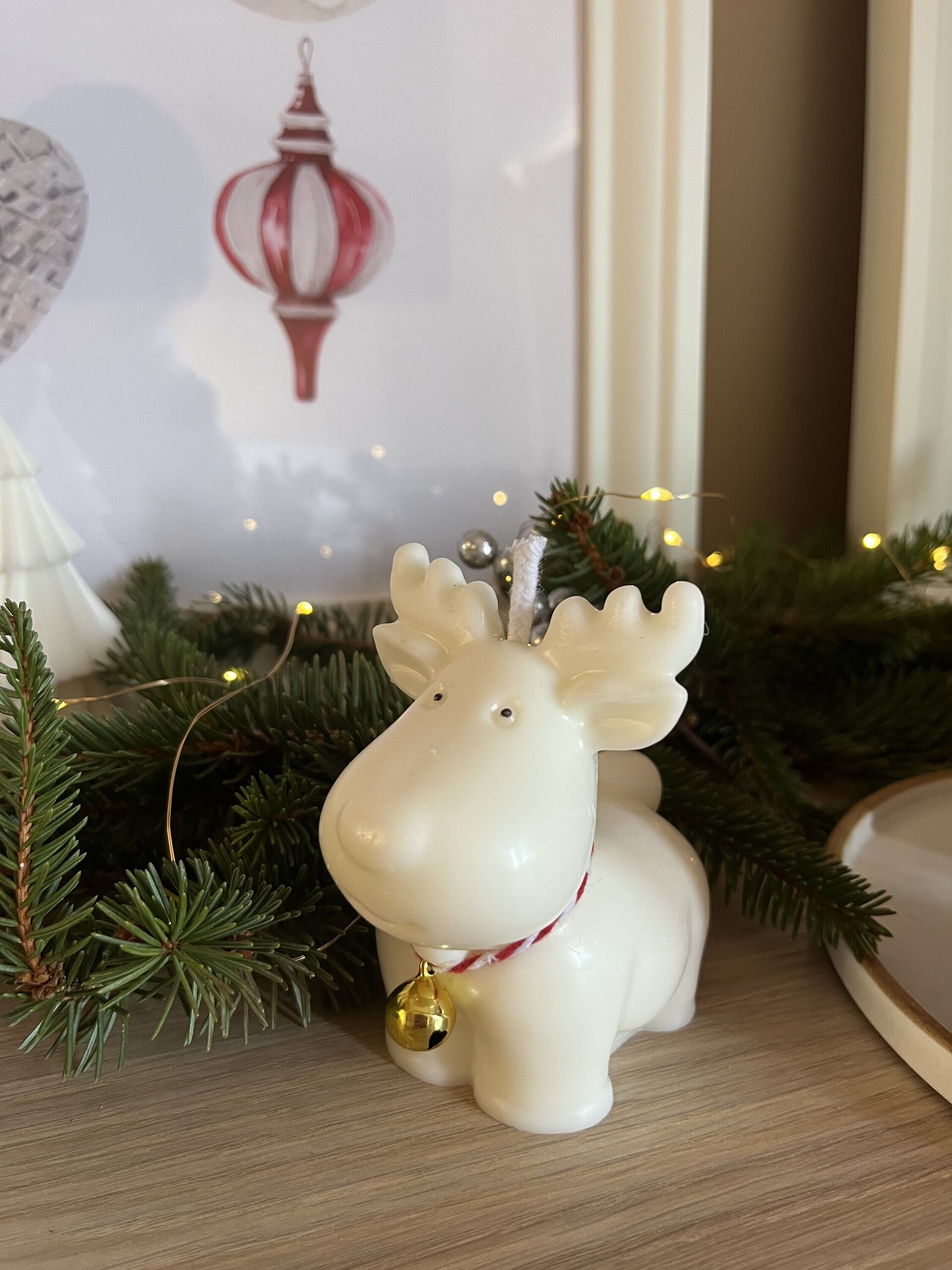 Vela de RENO RUDOLF - 2