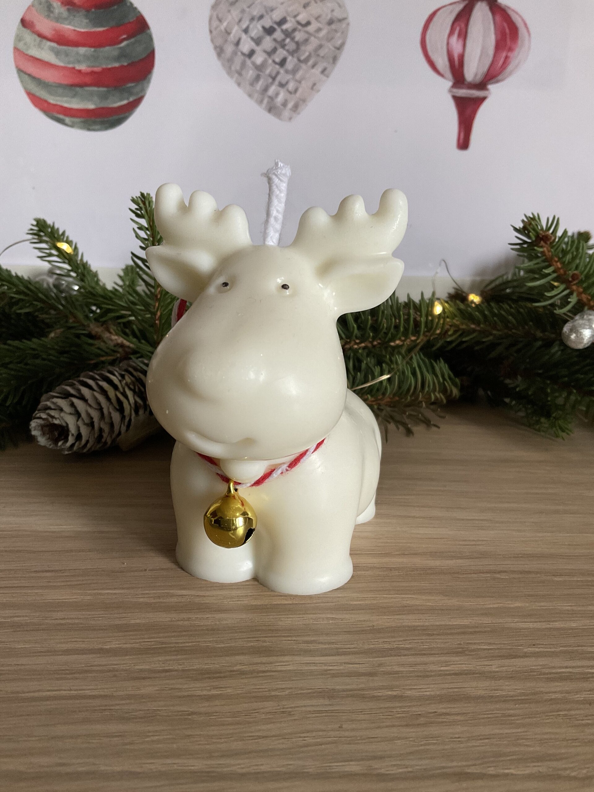 Vela de RENO RUDOLF - 6