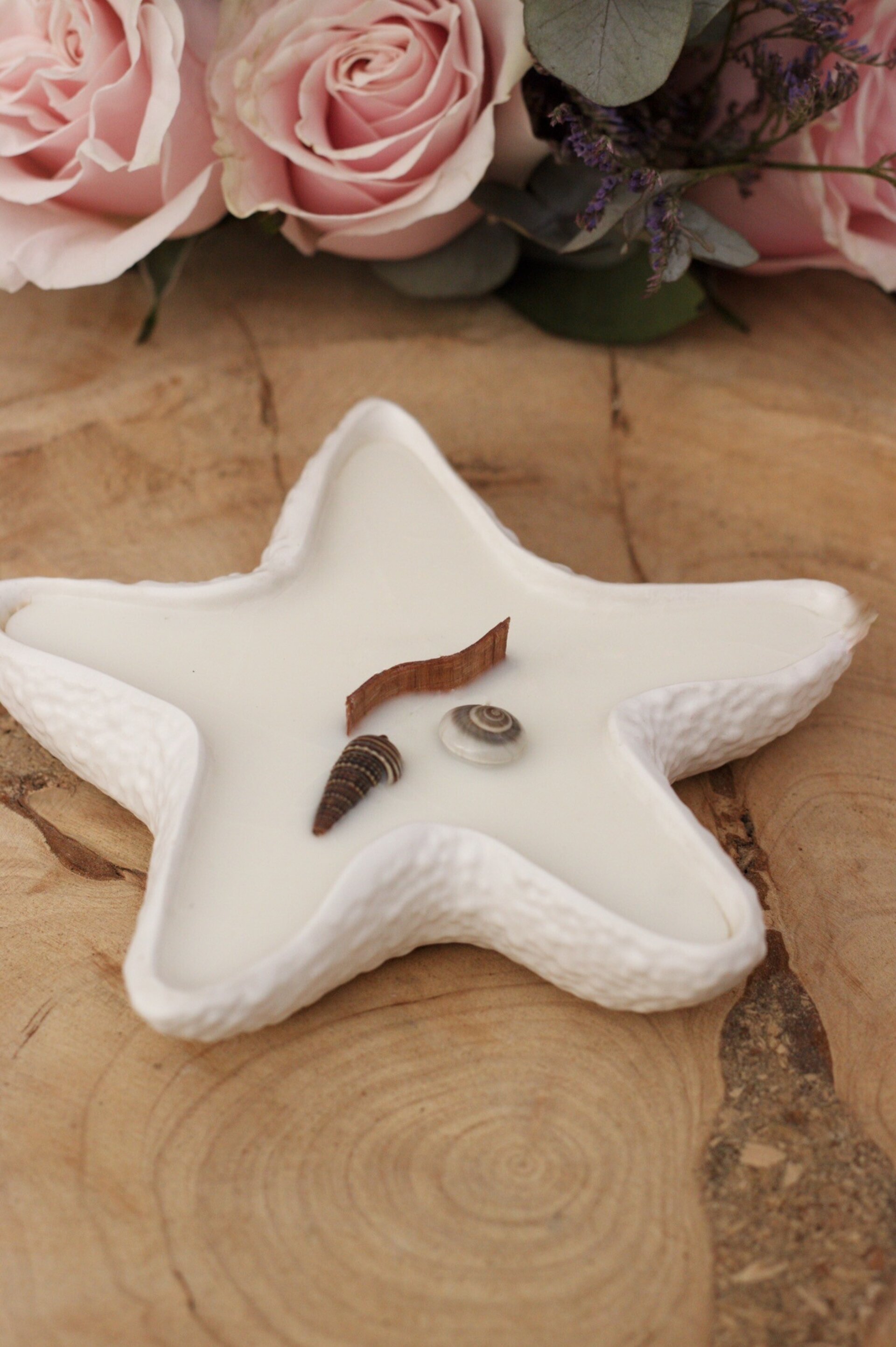 Vela ESTRELLA DE MAR - 1