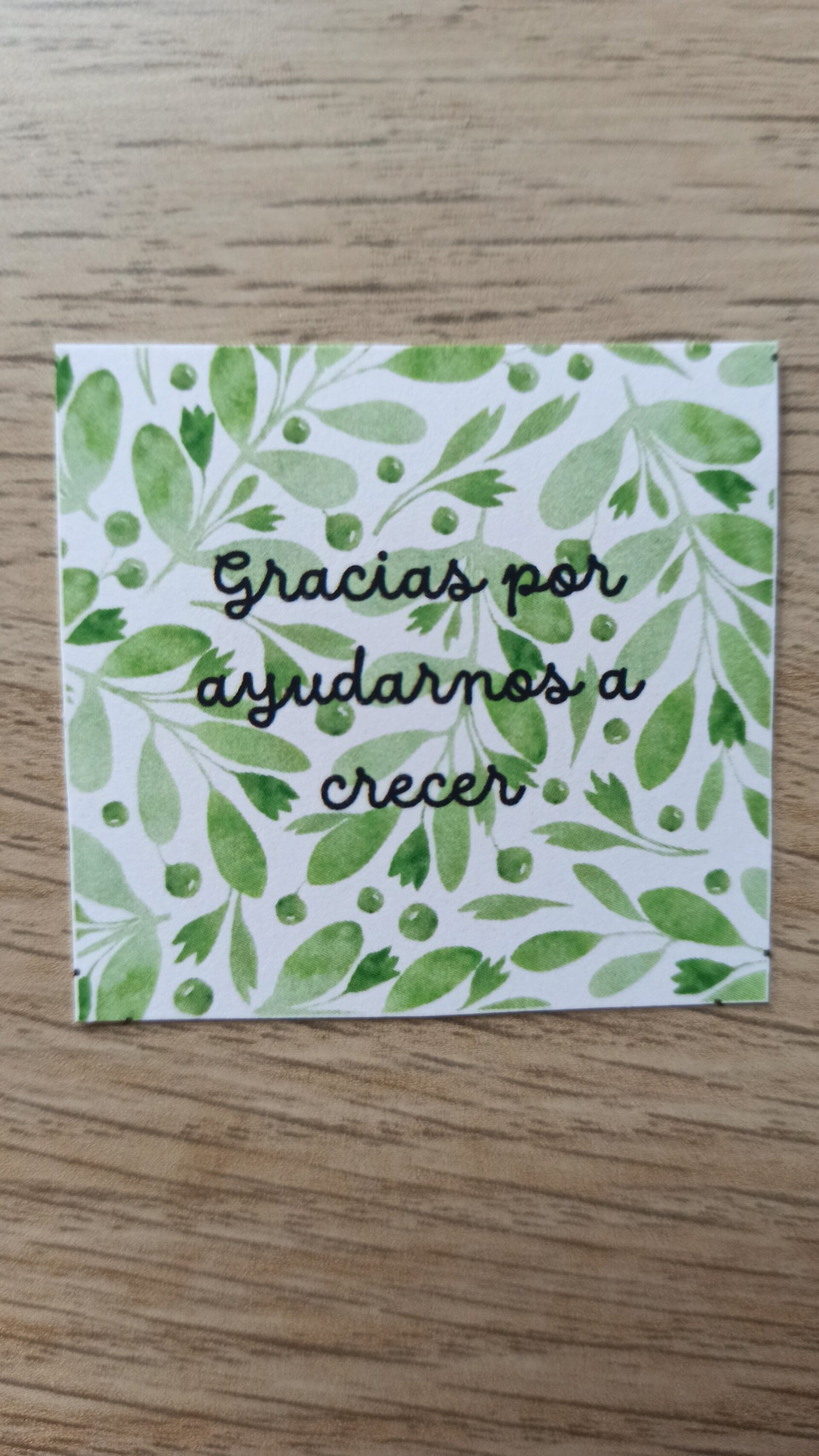 VELA DE CACTUS CON MENSAJE PARA PROFES - 4