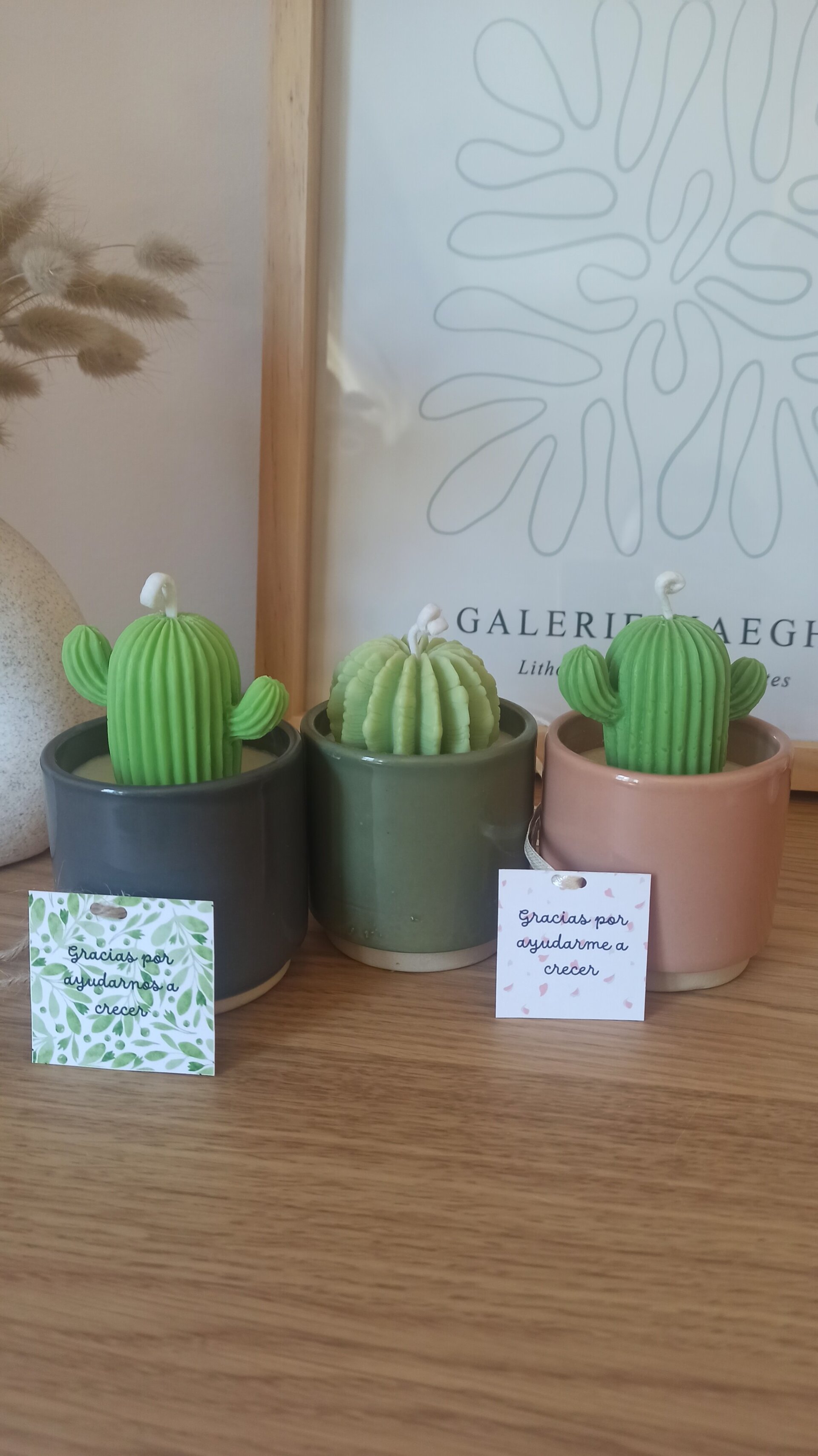 VELA DE CACTUS CON MENSAJE PARA PROFES - 2